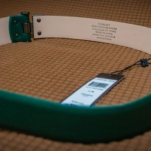 BCBG Metal Hinged Waist Belt